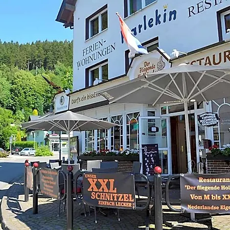 Harlekin Willingen (Upland)